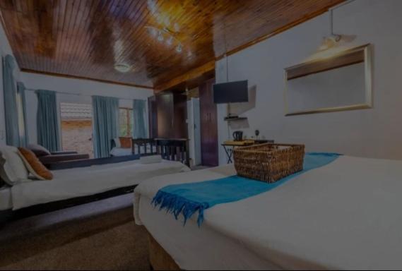 Aero Guest Lodge 肯普顿帕克 外观 照片